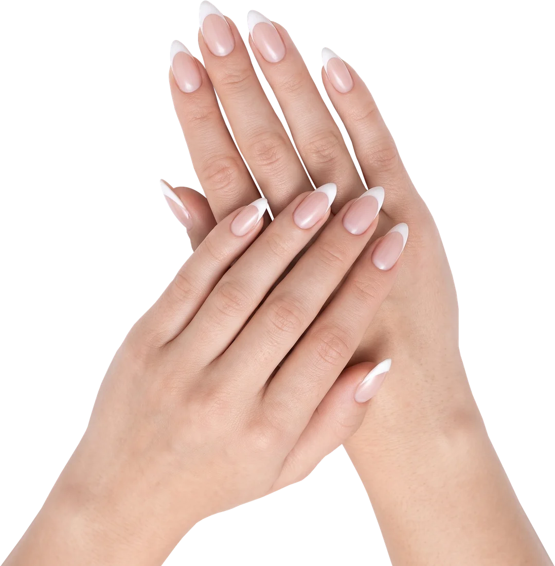 Hands with a French manicure